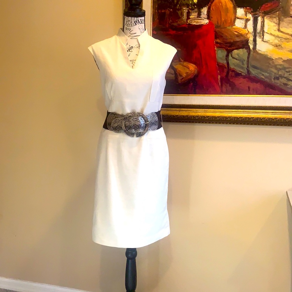 Antonio Melani Dress with Belt
